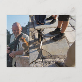 Katzenregel in der Ephesus-Postkarte Postkarte
