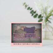 Katzenregel Postkarte (Stehend Vorderseite)