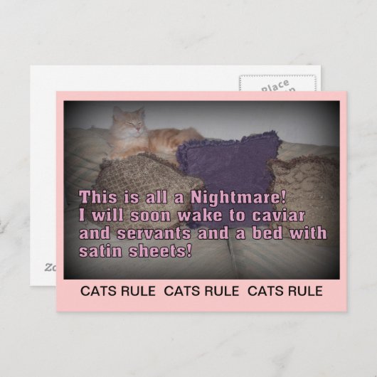 Katzenregel Postkarte (Vorne/Hinten)