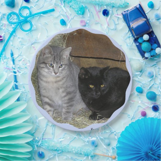 Katzenregelplatte Pappteller (Party)