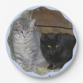 Katzenregelplatte Pappteller (Vorderseite)