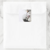 Katzenreiniger Quadratischer Aufkleber (Tasche)