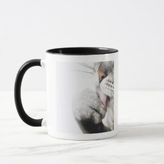 Katzenreinigungstatze, Nahaufnahme Tasse