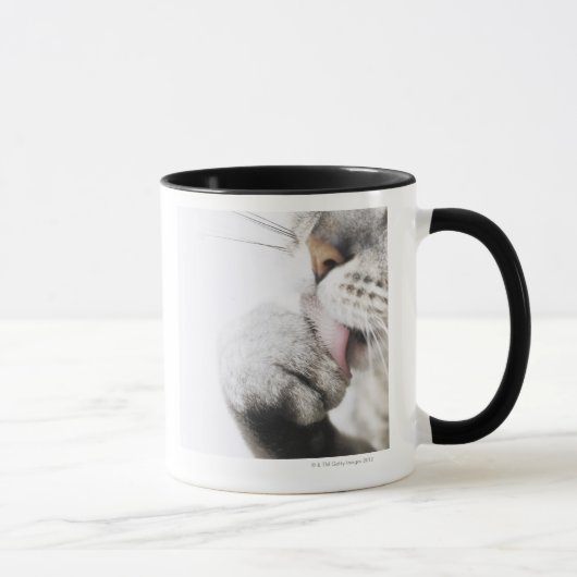 Katzenreinigungstatze Tasse (Rechts)