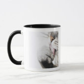 Katzenreinigungstatze Tasse (Links)