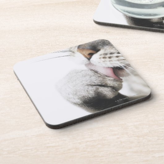 Katzenreinigungstatze Untersetzer (Linke Seite)