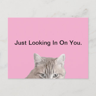 Katzenrosa-Postkarte Postkarte