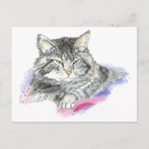 Katzenruhe - Aquarellensammlung für Tiere Postkarte