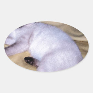 Katzensandsteinkunst aus Siam niedliches Kätzchen Ovaler Aufkleber
