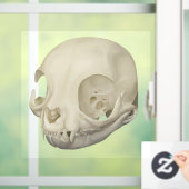 Katzenschädel Fensteraufkleber (Zuhause)