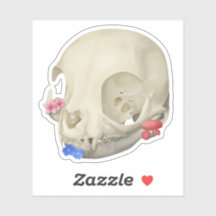 Katzenschädel mit Flora