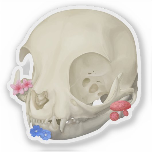 Katzenschädel mit Flora Aufkleber (Vorderseite)