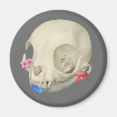 Katzenschädel mit Flora Magnet (Vorne)