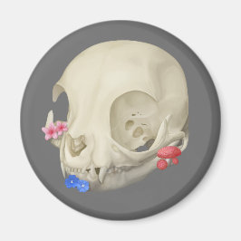 Katzenschädel mit Flora Magnet