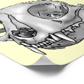 Katzenschädel Poster (Ecke)