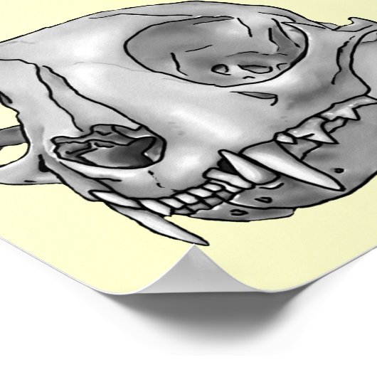 Katzenschädel Poster (Ecke)