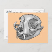 Katzenschädel Postkarte (Vorne/Hinten)
