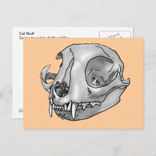 Katzenschädel Postkarte (Vorne/Hinten)