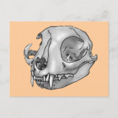 Katzenschädel Postkarte (Vorderseite)