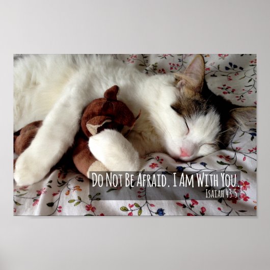 Katzenschlaf mit Teddybären nicht vermeiden Poster (Vorne)