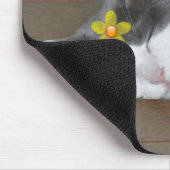 Katzenschmetterlings-Blume Mousepad (Ecke)