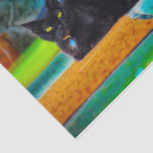 Katzenschwarz Niedlich farbenfrohe blaue Orangende Seidenpapier (Ausschnitt)