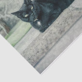 Katzenschwarz Niedliche Vintage Antiquitätensprach Seidenpapier (Ausschnitt)