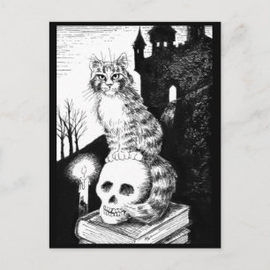 Katzenschwarz und weiß Maine Coon Halloween Postka Postkarte