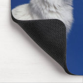 Katzensitze vor blauem Hintergrund Mousepad (Ecke)