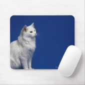 Katzensitze vor blauem Hintergrund Mousepad (Mit Mouse)
