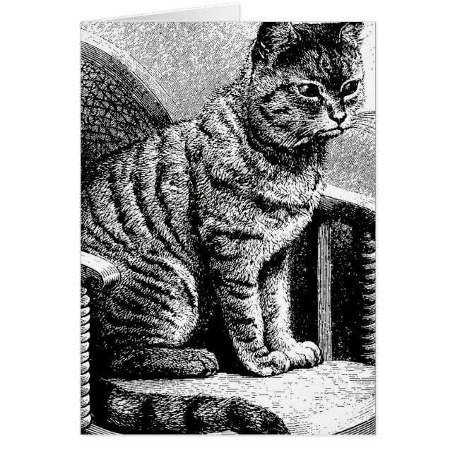 Katzenskizze (Vorne)