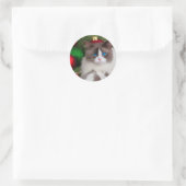 Katzenspass Liebe Runder Aufkleber (Tasche)
