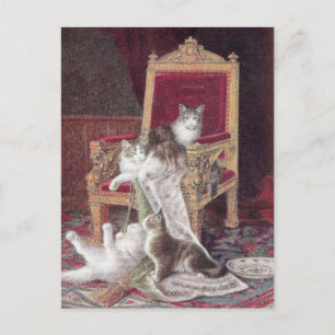Katzenspiel auf rotem Samtstuhl Vintage Postkarte