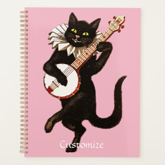 Katzenspiel Banjo Thunder_Cove Planer (Vorderseite)