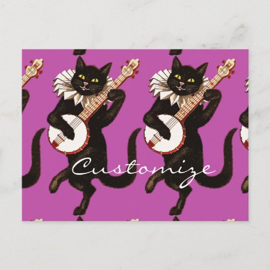 Katzenspiel Banjo Thunder_Cove Postkarte (Vorderseite)