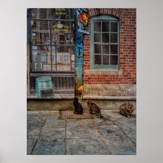 Katzenspiel Poster (Vorne)