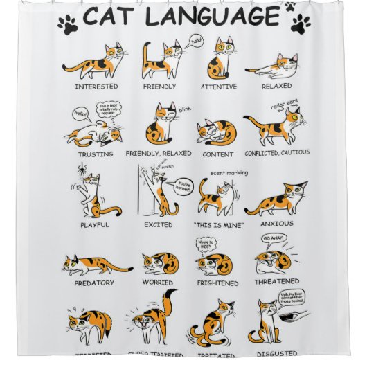Katzensprache, lustiges Katzen Kitten, Liebe Katze Duschvorhang (Vorderseite)