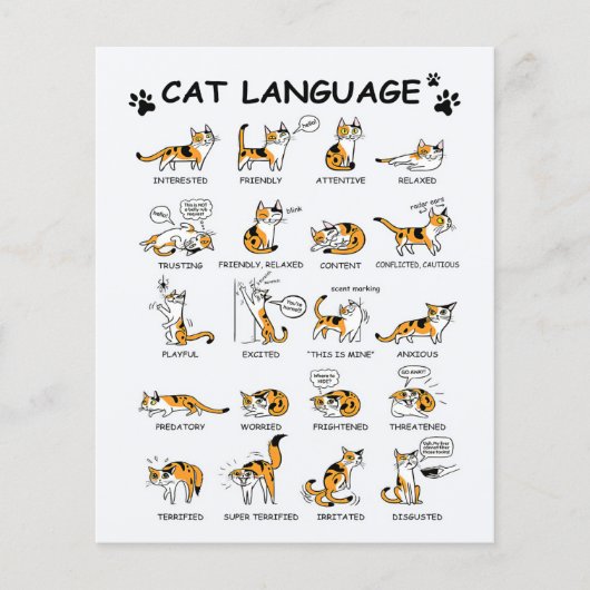 Katzensprache, lustiges Katzen Kitten, Liebe Katze Flyer (Vorne)
