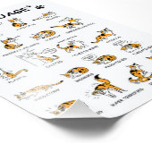 Katzensprache, lustiges Katzen Kitten, Liebe Katze Fotodruck (Ecke)