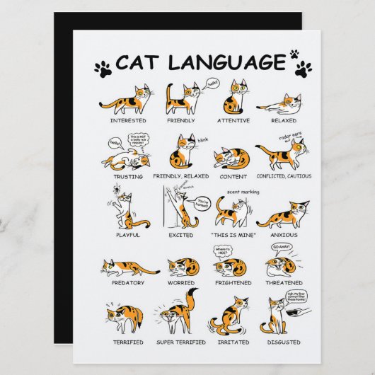 Katzensprache, lustiges Katzen Kitten, Liebe Katze Menükarte (Vorne/Hinten)