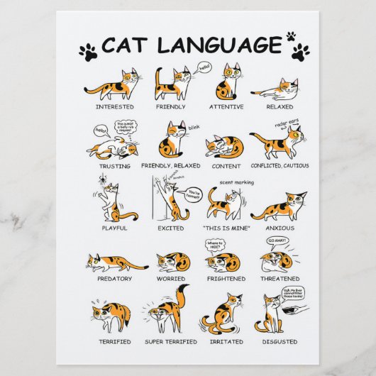 Katzensprache, lustiges Katzen Kitten, Liebe Katze Menükarte (Vorderseite)