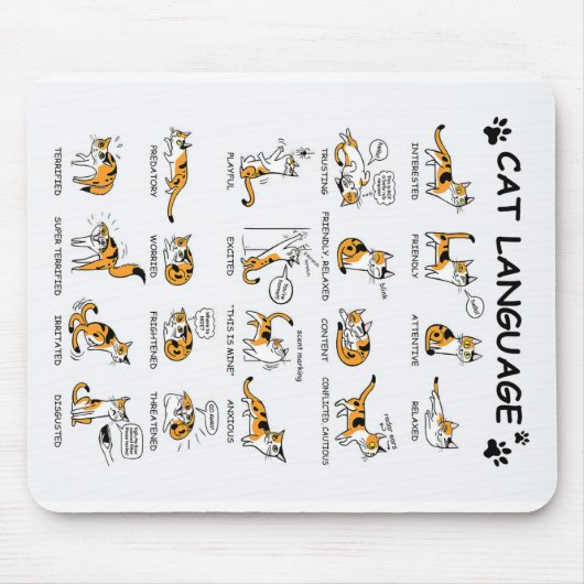 Katzensprache, lustiges Katzen Kitten, Liebe Katze Mousepad (Vorne)