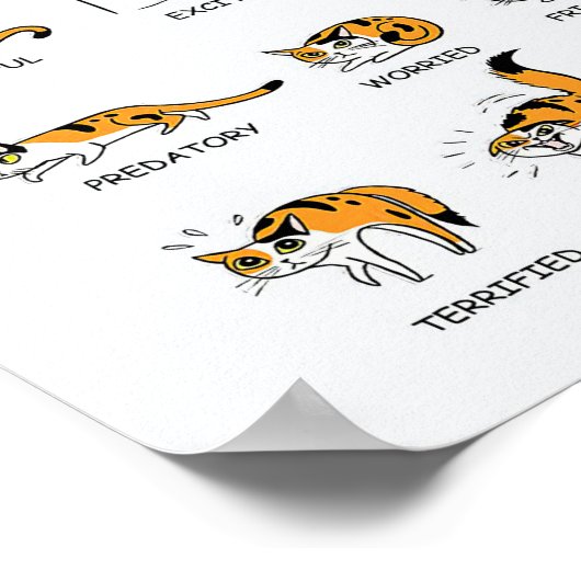 Katzensprache, lustiges Katzen Kitten, Liebe Katze Poster (Ecke)