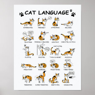 Katzensprache, lustiges Katzen Kitten, Liebe Katze Poster
