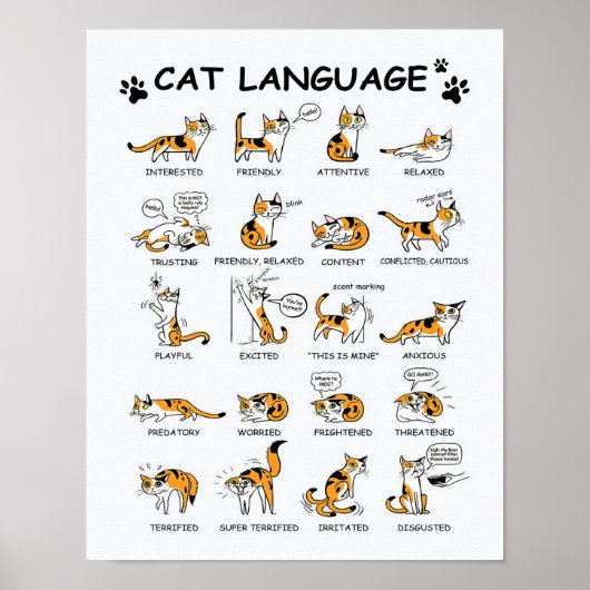 Katzensprache, lustiges Katzen Kitten, Liebe Katze Poster (Vorne)