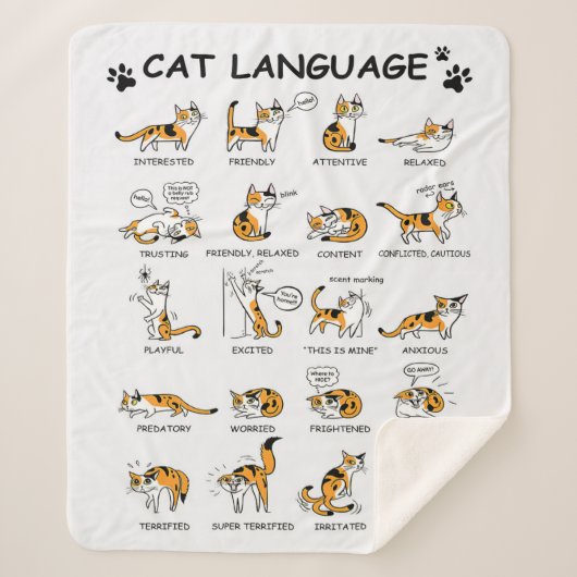 Katzensprache, lustiges Katzen Kitten, Liebe Katze Sherpadecke (Vorderseite)