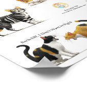 Katzensprache Poster (Ecke)