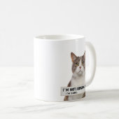 Katzenspruch mit Sarkasmus Minimal Art Kaffeetasse (VorderseiteRechts)
