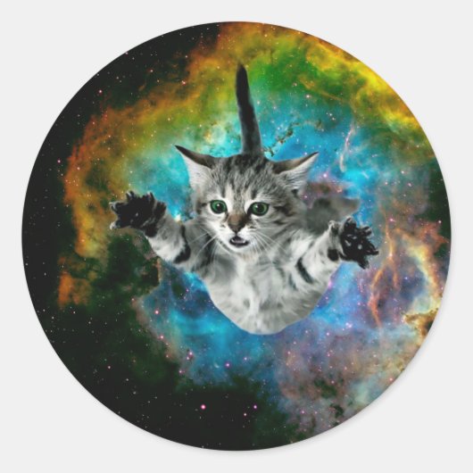 Katzensprung im Weltraum Runder Aufkleber (Vorderseite)