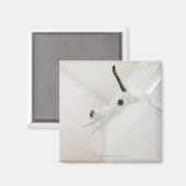 Katzensprung Magnet (Vorderseite/Rückseite)